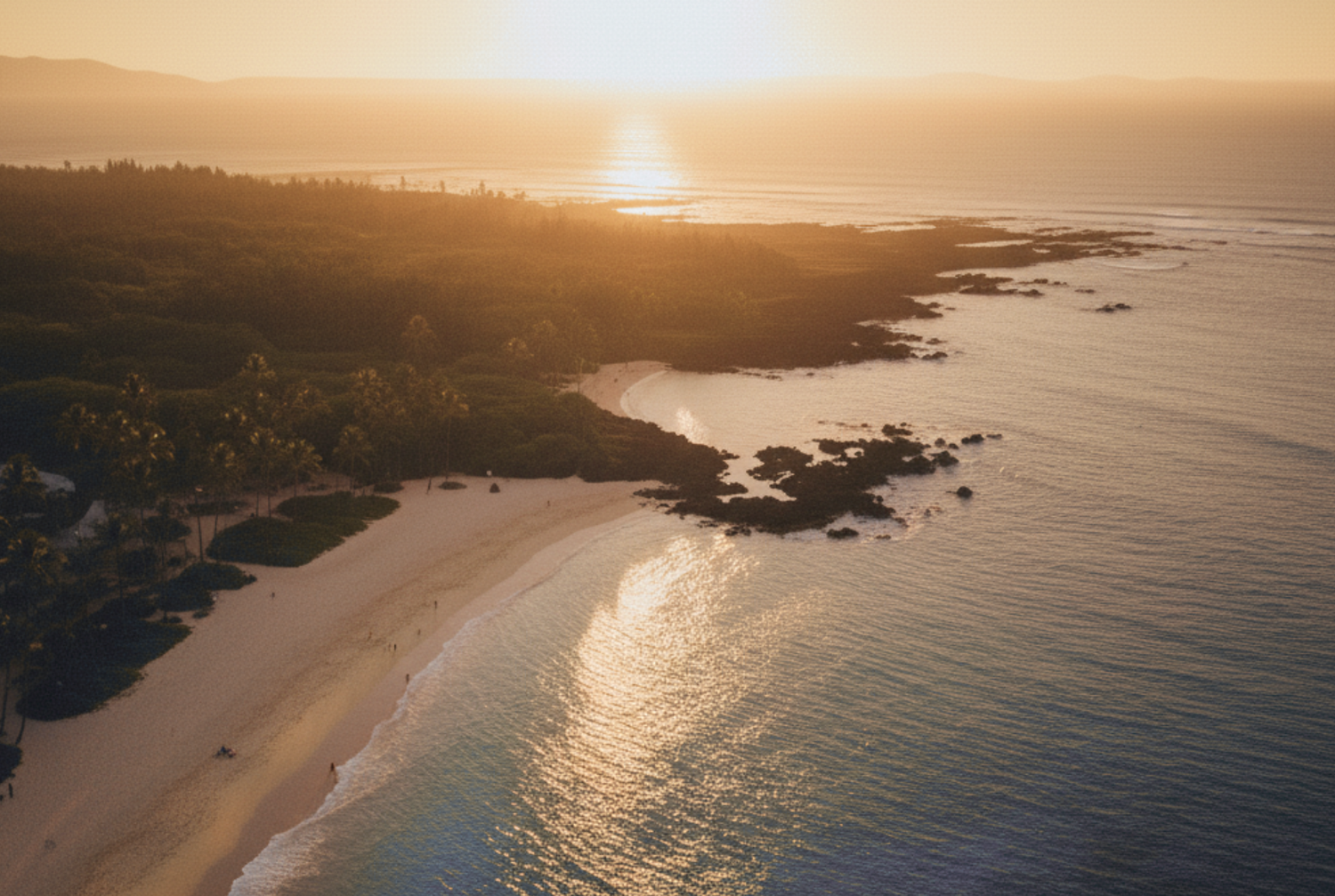Cultivating Beauty, Sustaining Paradise: The Pure Mana Difference